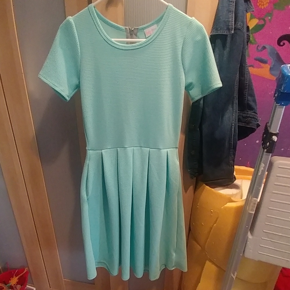 Lularoe Amelia